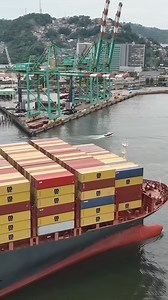 MSC Container Ship | China Now الصين الان