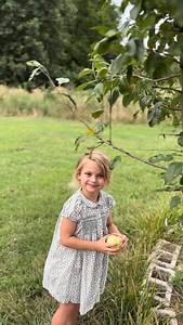 93K views · 6K reactions | Picking the first apples from our apple tree | This one little apple tree was on the land when we arrived here. The first year, it gave us four apples. This year there are so many we couldn’t count. This is such a reflection of the land giving back when you give to it. So yummy.  so grateful | Its Cassidy Jade | Facebook