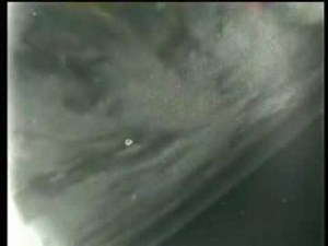 UFO, Never Doubt Again