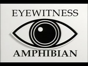 Testigo Ocular: Anfibios