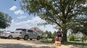 Jerry and Finn These two are starting downs by the feet and working some outdoor duration | Imprinted Paws