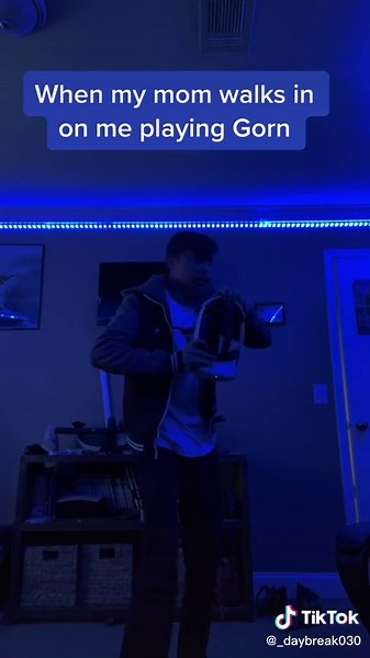 Mom Walks in on Me Playing Gorn VR Game