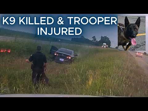 SHOTS FIRED | The Pursuit That Killed Arkansas State Police K9 Hemi