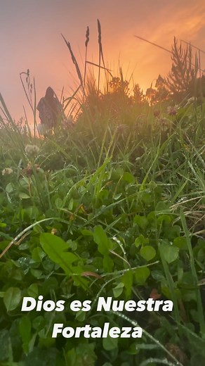 #NaturalBeauty #ecuador #Alausi | Aventura Chimborazo
