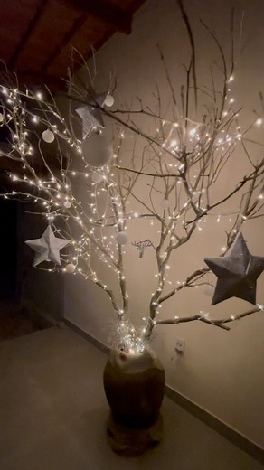 362K views · 80 reactions | Maria Lúcia on Reels | Facebook