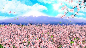 4K cherry blossom background material