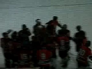 Varese Killer Bees - Hockey on Reels