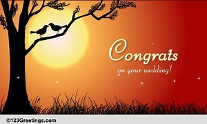 Wedding Congrats!