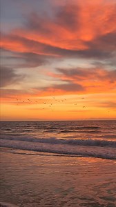 The Sound of Silence | Gary Weatherford