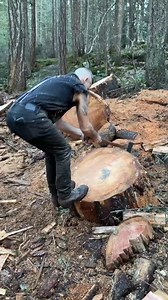 #logger #timberfaller #firewood #axes #splittingaxe #woodsplitting #husqvarna | Ruimfor