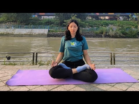 Yoga Workshop! 🧘‍♂️🌿 #yogaworkshop #yogaforbeginners #yogaforlife #yogaforwellness