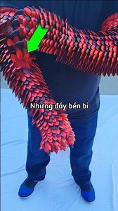 The guy who invented the armor gloves 😵 #shorts