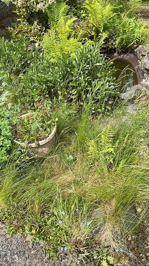 15 reactions | I am OBSESSED 朗 | chipzel | Facebook