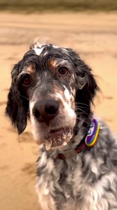 Ok we’re doing Christmas music now 😎🥳 🧑‍🎄🎄 | The Daily Hobson