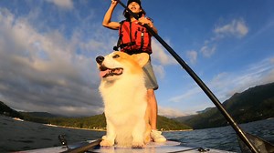 @94___wing riding the waves with his furry friend 🐶 @GoProTW #GoPro #GoProMYSG #PaddleBoarding #FurryFriend | GoPro