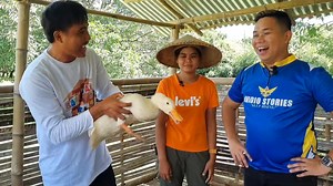 🤔 Paano mo malalaman ang gender ng Pekin Duck? 😍😂@highlight Full Vid here: 😍🦆 👉 https://bit.ly/3Yn2b43 👉 https://bit.ly/3Yn2b43 👉 https://bit.ly/3Yn2b43 | Arthuro Toldanes Sinobago