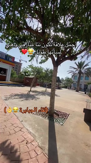 Vidéos de 🐆 (@dxx__03) avec original sound - ❤️Xxx_.ᎠᎫᎯᎷᎬᏞ_.xxX❤️