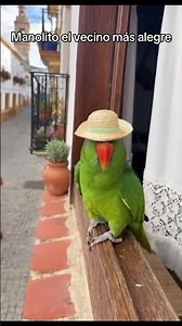 Manolito, the happiest neighbor