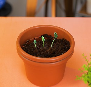 5.5K views · 13 reactions | Pyszne Potrawy w 5 Minut on Reels | Facebook