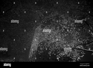 May 12, 2014 - Brooklyn, New York, U.S. - View of one of the project buildings located in the Bushwick housing projects. this building located in the heart of Bushwick are home for several gangs including the Latin Kings, YSquad and Bloods. the building are always patrolled by NYPD officers and security cameras. The Almighty Latin King and Queen Nation (ALKQN, ALKN, LKN) is the oldest and largest Hispanic street gang in the United States. Its roots date to 1954 Humboldt Park in Chicago, Illinois