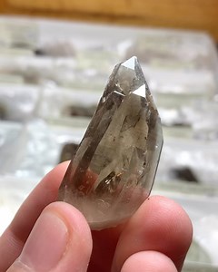 Smoky Quartz w/ phantoms from the smoky phantom claim, pend Oreille county, Washington, USA 🇺🇸 available for $85 shipping | Great Northern Minerals