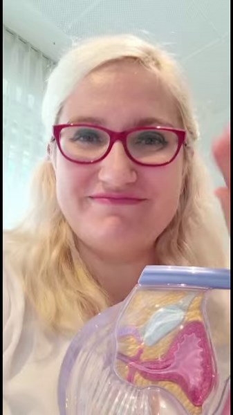 🍼👶🏽 Bereit für ein Baby! Was nun? Schnell kommen Fragen auf wie: „Wie kann ich schneller schwanger werden?“, „Wie funktioniert das Einfrieren von Eizellen?“ oder „Wie sieht eine Kinderwunsch-Behandlung aus?“ 👩🏼‍⚕️ Die Partnerärztinnen von Fernarzt.com, Dr. Laura Götz und Dipl.-Med. Isa Haschke, beantworten Eure Fragen am 20. September 2022 von 15 bis 18 Uhr im Themenspecial. Mehr Infos findet Ihr hier: https://bit.ly/3f2BYVv | gutefrage.net