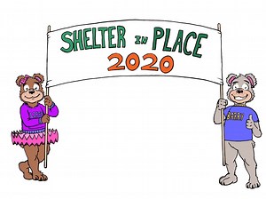 Shelter in Place 2020 @ Homer Twp. Library