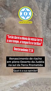 1.3M views · 45K reactions | PROFECIA SE CUMPRINDO EM ISRAEL  ️ Imagens recentemente filmadas em Israel mostram o renascimento de um riacho no Deserto da Judéia ocorrido após a queda de águas das chuvas. Vídeo: Reprodução Mídias Sociais/ בת אל שוורץ Israel em Português (@israel_em_portugues) Siga-nos para conhecer melhor a Terra Prometida #israel #profecia #israel_em_portugues | Israel em Português | Facebook