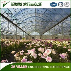 [Hot Item] Gutter Connected Arch Roof Film Greenhouse for Agriculture Planting Vegetables/Flowers/Fruits