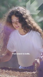 🌿 Olive trees grow all over Lebanon, and their olives are carefully selected, handpicked, and cold-pressed using traditional methods. The result is a unique and precious legacy that passionate families of olive oil makers passed down from generation to generation to create a unique and precious legacy: Lebanese olive oil. 🫒 Lebanon’s Culinary Nation Branding campaign is in partnership with Ministry of Economy and Trade - Republic of Lebanon under the scope of BIEEL, a project led by FAIR TRADE