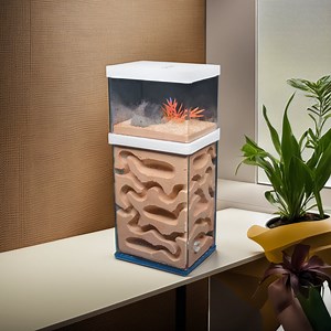 Plaster Vivarium Anthill - Ant Farm, Large Nest and Feeding Area, Reproduction of the Natural Environment,nest for Queen and Colony Breeding - Etsy