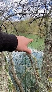 17K views · 318 reactions | Introducing Ellie & Jordan to The Carpers | Bald Builders Retro | Facebook