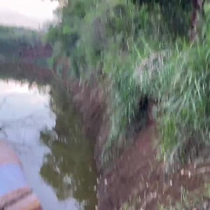 100K views · 1.6K reactions | Anh Trai Chà Dép Bất Ngờ Làm Điều Này Tại Cốc Sư Minh Tuệ | Vlogs Trúc Ngân TV | Facebook