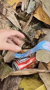 Young girl picking up trash and bottles #13 | Ly Tieu Dua | Facebook