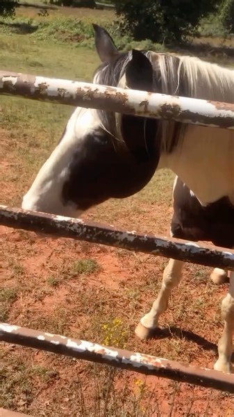 Pennington Soil’s growing treats in Smart Pots, and let's just say,...