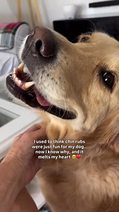 9K reactions · 276 shares | At first, I thought those little forehead...