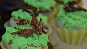 ¿Por qué comer insectos es nutritivo y bueno para la salud?