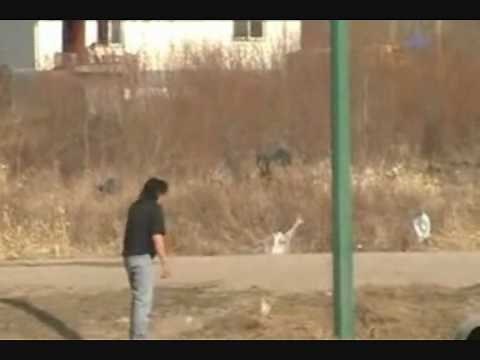 THE ULTIMATE DRUNK PEOPLE COMPILATION VIDEO EVER!!! V2
