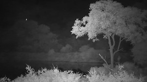 2.2K views · 26 reactions | Moon_rising_over_Djuma_in_Sabi_Sand | WildEarth Cam | Facebook