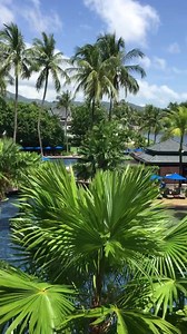 Resort hopping in Phuket ... have left the Banyan Tree Phuket and headed down the road for my stay at the sister resort, Angsana Laguna Phuket ... a different concept, more for families and hotel style stay ... this is my view from the room ... so hot and humid today. ... time to explore the Beach Club 😎🏝⛱😅 #angsanalagunaresort | See.Taste.Do