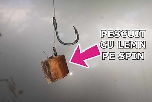 40K views · 325 reactions | Pescuit cu BUCATA DE LEMN PE SPIN  | Plecat La Pescuit | Facebook
