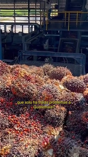 1M views · 27K reactions | ¿De quiénes se rodea Carlos Pineda? ¿Qué puede implicar esto para el país? Compartimos esta información para contribuir a ejercer un voto crítico. ¡Cuidémonos Guatemala! | JusticiaYa | Facebook