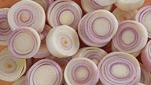 「木の上の新鮮なレモン草」の動画素材（ロイヤリティフリー）3612202219 | Shutterstock