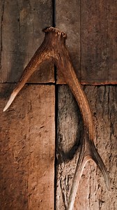 Genuine deer antler handle and Japanese VG10 Steel make the Jeremiah knife an easy choice for your next hunting knife. Due to the genuine deer antler handle, no two knives are alike. Each one carries its own unique character, making your knife truly one of a kind. | Spika