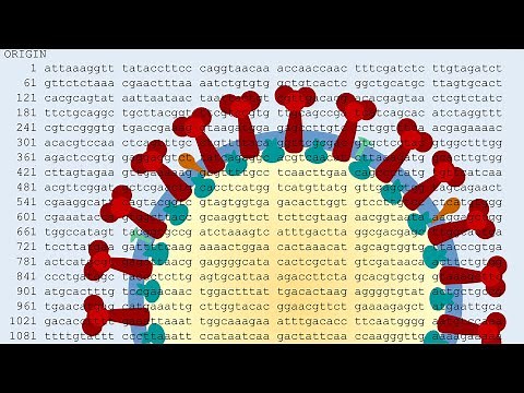 Tracking the Pandemic with Viral Strains