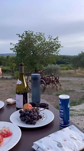 A snippet of the rustic charm of the French county side 🧺🍇🌳🍷Hope your week is delicious! 🤤✨⚜️ Each year, Kande and her husband Lenn make it a point to visit France every year in search of more medallions - all while soaking up the culture for more design inspiration. 🫶 | French Kande