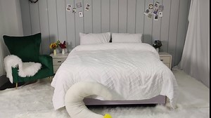 BDAILKA White Comforter Set Queen - Tufted Bedding Comforter in Queen Bed, Microfiber Quilt Set Comforter with 2 Pillowcase ,Machine Wash