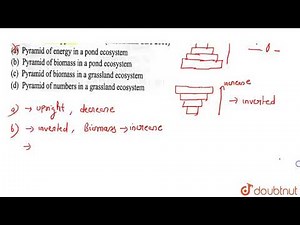 This is an inverted pyramid: