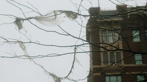 Trafficking and exploitation victims are often hidden in plain sight. Monarch is a Christian ministry of Crisis Aid International dedicated to raising awareness and funds for American survivors of sex trafficking and child exploitation. Do your Christmas shopping at Faith on December 5 from 5 - 7:30 pm and purchase with a purpose! Since most of Monarch's items are one-of-a-kind, you won’t want to miss this event! | Faith Oakville