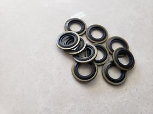 [Hot Item] Joint pour vérin hydraulique Joint Dowty hydraulique